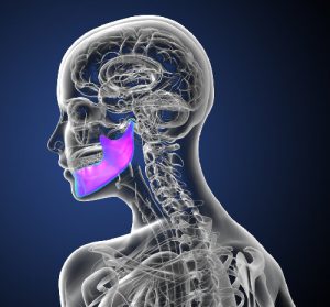 skeleton with jaw bone highlighted